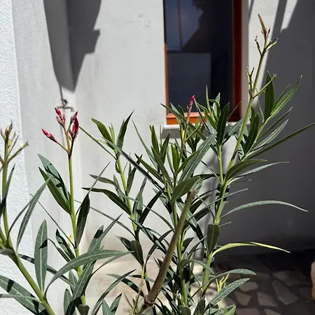 Holiday home La Villeta Di Nonna